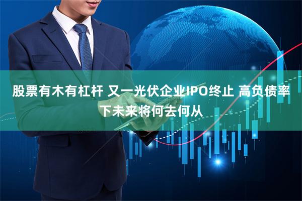 股票有木有杠杆 又一光伏企业IPO终止 高负债率下未来将何去何从