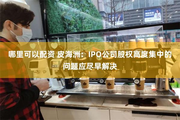 哪里可以配资 皮海洲：IPO公司股权高度集中的问题应尽早解决