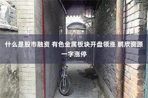 什么是股市融资 有色金属板块开盘领涨 鹏欣资源一字涨停