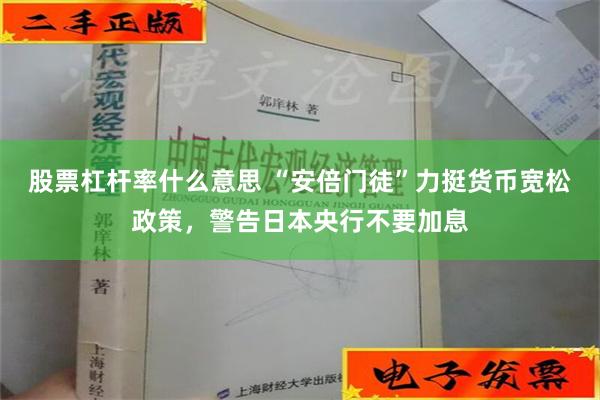 股票杠杆率什么意思 “安倍门徒”力挺货币宽松政策，警告日本央行不要加息