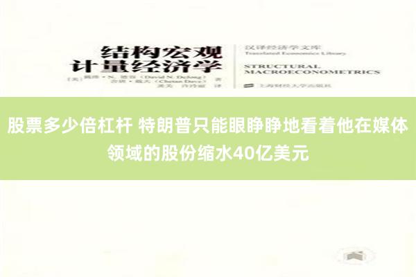 股票多少倍杠杆 特朗普只能眼睁睁地看着他在媒体领域的股份缩水40亿美元