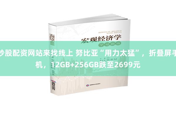 炒股配资网站来找线上 努比亚“用力太猛”，折叠屏手机，12GB+256GB跌至2699元