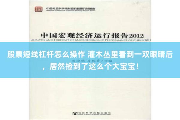 股票短线杠杆怎么操作 灌木丛里看到一双眼睛后，居然捡到了这么个大宝宝！