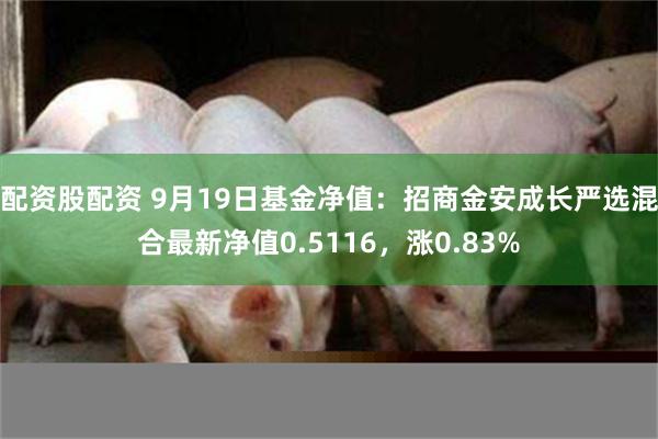 配资股配资 9月19日基金净值：招商金安成长严选混合最新净值0.5116，涨0.83%