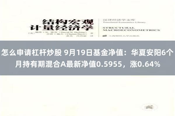 怎么申请杠杆炒股 9月19日基金净值：华夏安阳6个月持有期混合A最新净值0.5955，涨0.64%