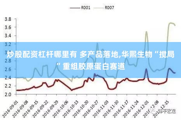 炒股配资杠杆哪里有 多产品落地,华熙生物“搅局”重组胶原蛋白赛道