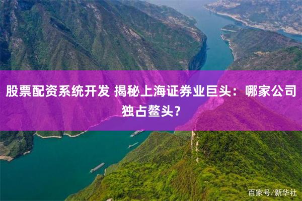 股票配资系统开发 揭秘上海证券业巨头：哪家公司独占鳌头？