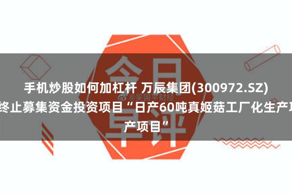 手机炒股如何加杠杆 万辰集团(300972.SZ)：拟终止募集资金投资项目“日产60吨真姬菇工厂化生产项目”