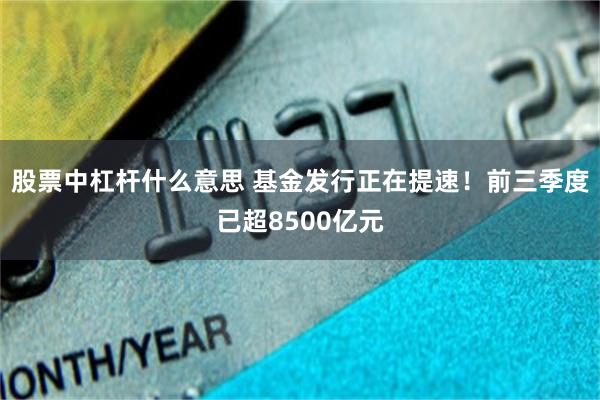 股票中杠杆什么意思 基金发行正在提速！前三季度已超8500亿元