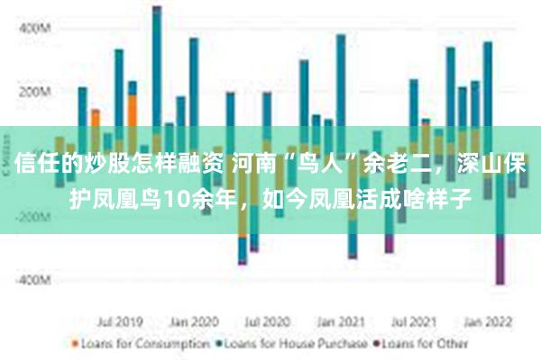 信任的炒股怎样融资 河南“鸟人”余老二，深山保护凤凰鸟10余年，如今凤凰活成啥样子